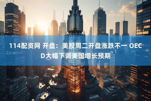 114配资网 开盘：美股周二开盘涨跌不一 OECD大幅下调美国增长预期