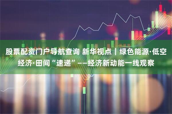 股票配资门户导航查询 新华视点｜绿色能源·低空经济·田间“速递”——经济新动能一线观察