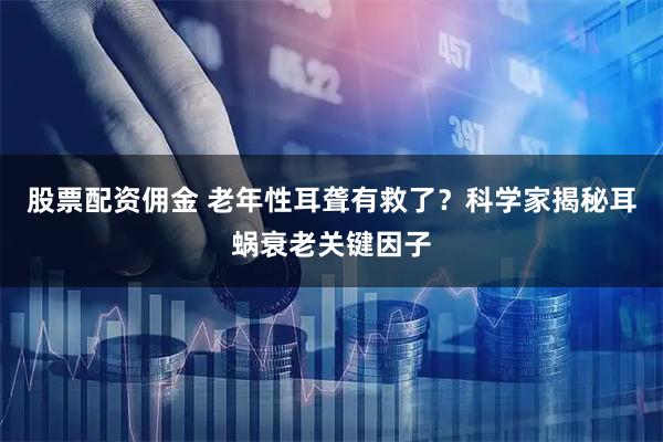 股票配资佣金 老年性耳聋有救了？科学家揭秘耳蜗衰老关键因子